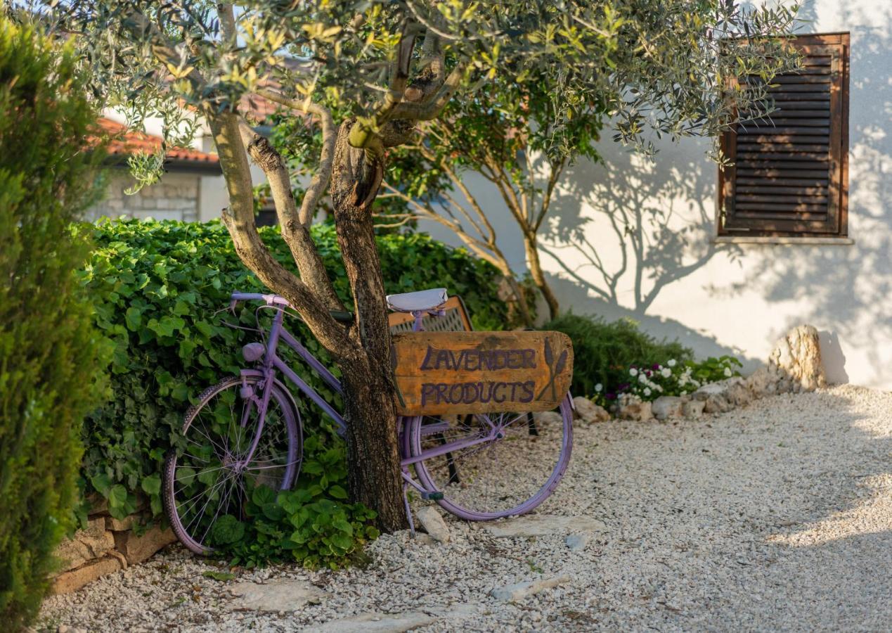 Lavanda Apartments & Room Sveti Lovreč Pazenatički Εξωτερικό φωτογραφία